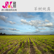 100%澳大利亚原装MAIN CAMP 主营地有机茶树纯露 杀菌祛痘