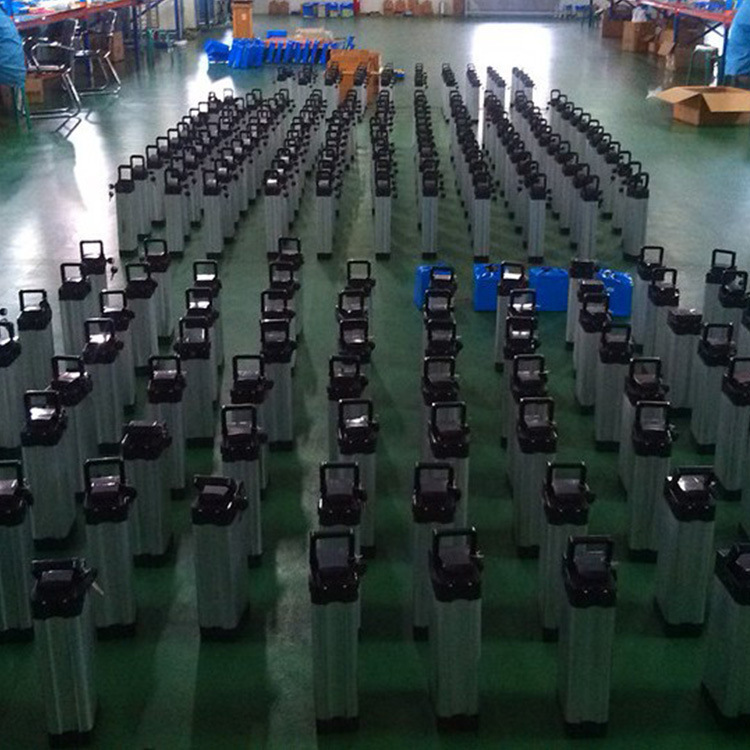 48v10Ah 电动车锂电池电动车自行车银鱼款电动车锂电池低温锂电池