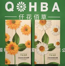 仟花佰草面膜针对敏感肌肤洋甘菊面膜小菊花面膜深沉补水一件代发