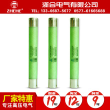 �߉������۔���XRNP-10KV/0.5A���������o�۔��XRNP1-12KV/1A