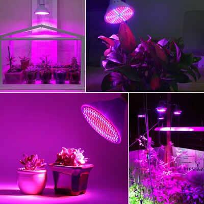 LED植物生长灯红蓝光合作成长灯大棚阳台花园增产育苗灯助长|ms