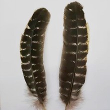 花火工作室 花火工作室品牌 图片 价格 花火工作室批发 阿里巴巴