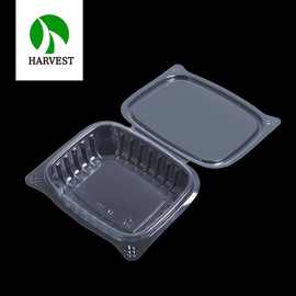 HC-16 PET透明连体对折塑料材料超市一次性水果蔬菜一次性透明盒