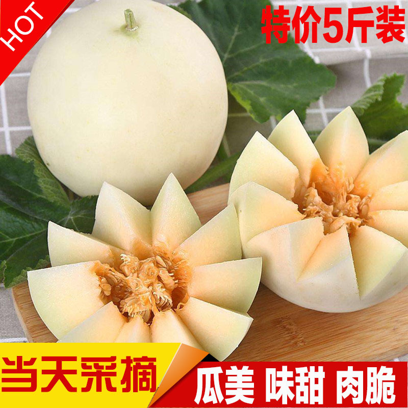 陕西阎良甜瓜5斤装新鲜包邮应季水果香瓜当季时令生鲜小甜瓜脆甜|ru