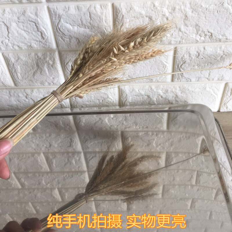 方盘不锈钢 不锈钢方形盘子 冲孔方盘