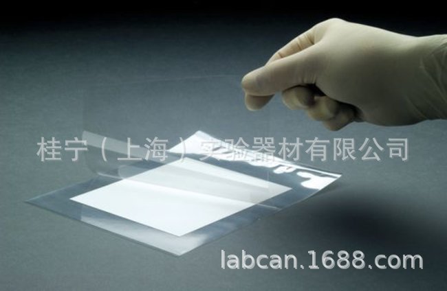 Whatman 密封式杂交袋  10483064