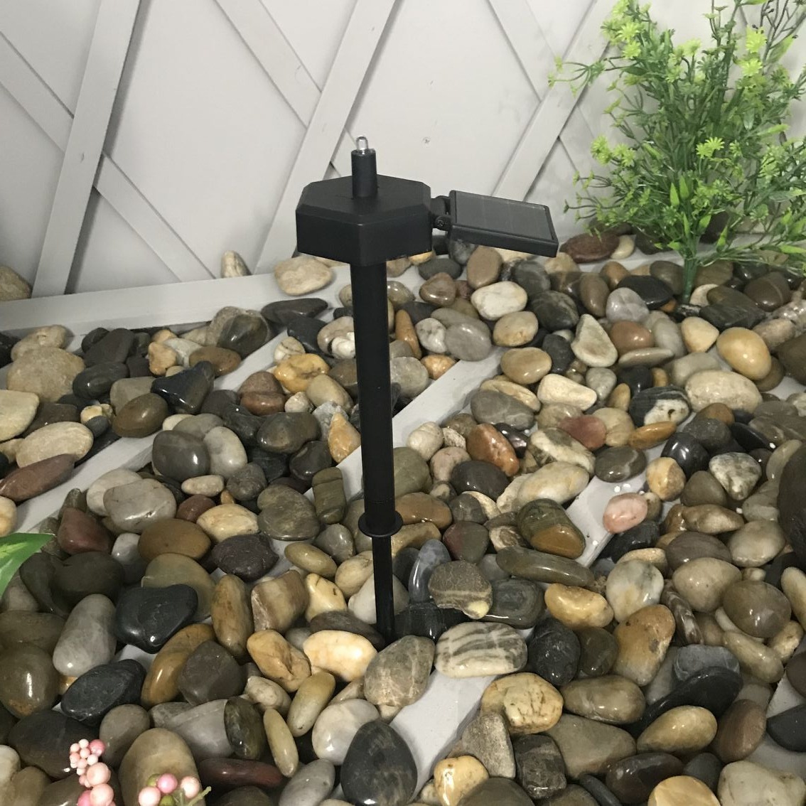 QQ图片20190612110124