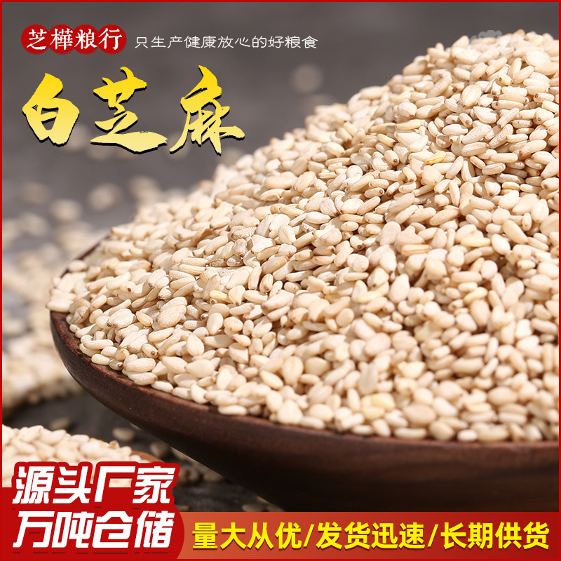 factory supply wholesale 25kg White sesame Grain Full Taste Lust White sesame