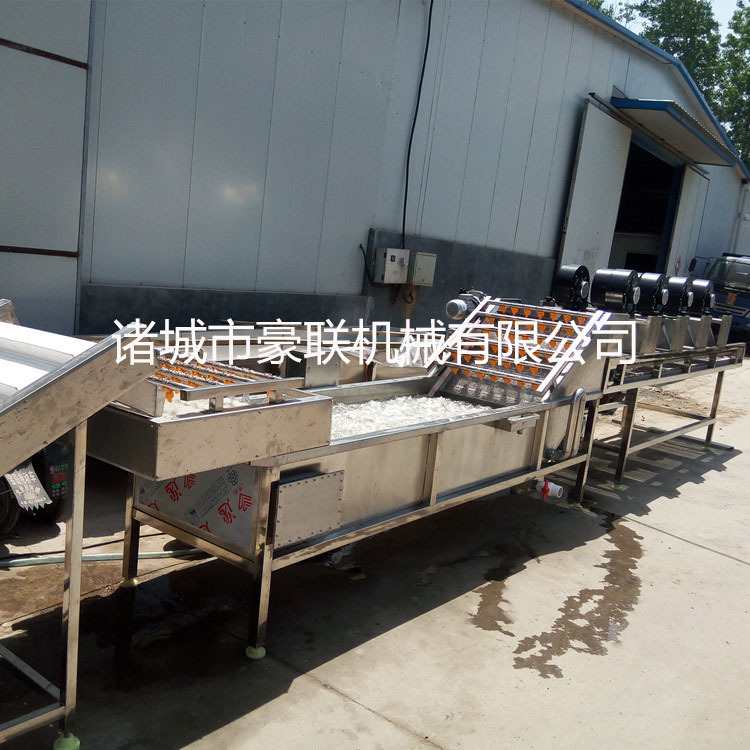 供应多用途洗菜设备 气泡式清洗机专业生 产厂家