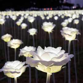 LED玫瑰花海 韩国香港发光玫瑰 户外广场圣诞节日装饰灯 厂家直销