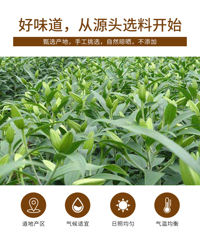 Bai He Dried Lily Bulb (Lilium lancifolium) — Sweet Lily Tea & Soup Herb, 250g Jar key features