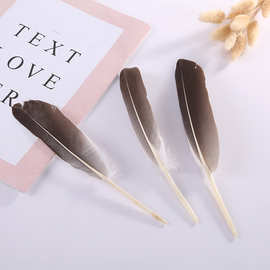 新款灰刀翎羽毛头饰工艺品玩具装饰品 厂家直销天然优质羽毛批发