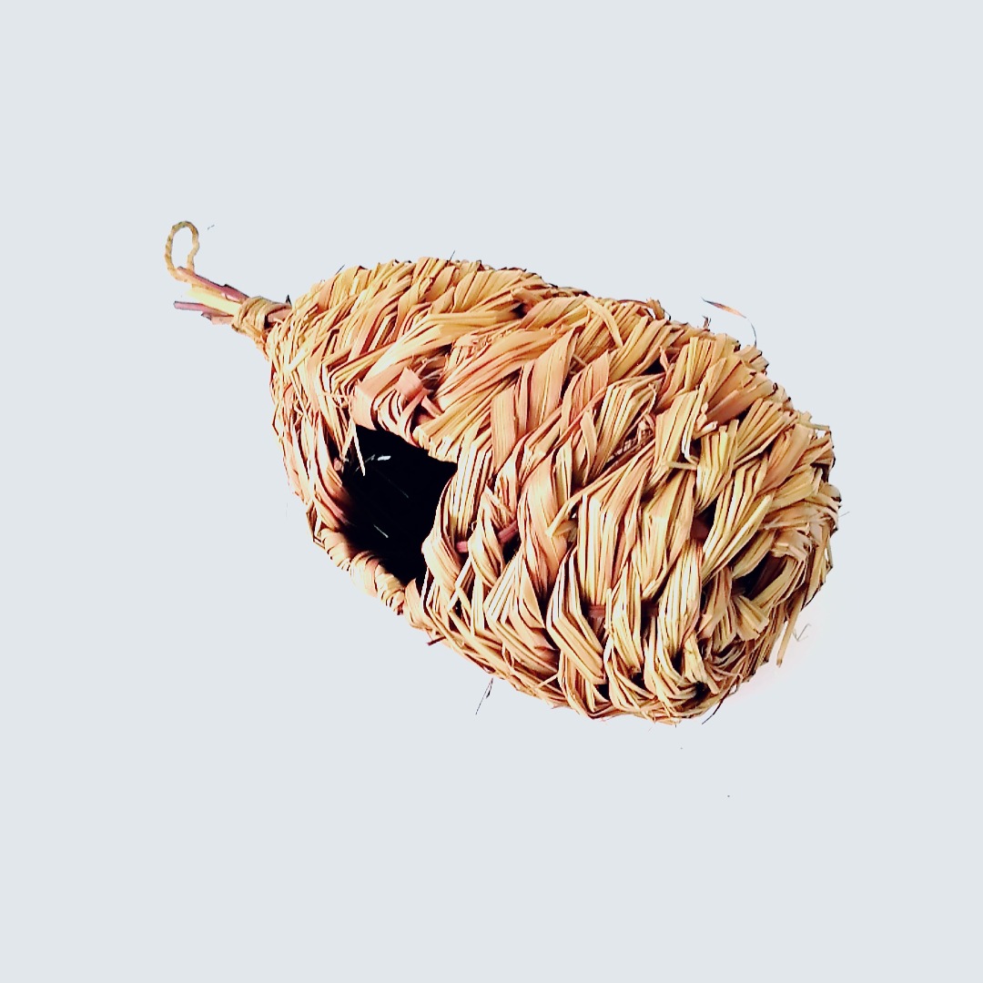 芦苇草鸟窝 (11).jpg