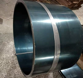 弹簧钢;其他冶金矿产;不锈钢带