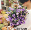 Yunnan Kunming flower Bellflower wholesale Bottle flower arrangement Fresh Cut Flowers Bellflower One piece On behalf of agent