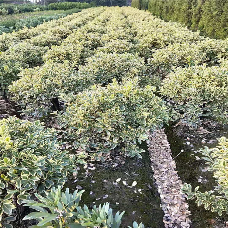 微信图片_20190924001008