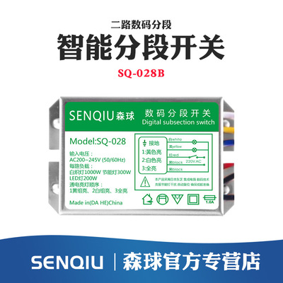 Digital disconnect switches /220V/23 Digital Section switch Sectionalizer