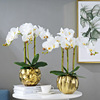 Artificial Flower Moth orchid suit bonsai Northern Europe Home Furnishing decorate Potted plant Decoration Artificial flower Silk flower Feel Moth orchid