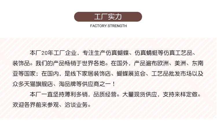 赠品礼品小蝴蝶