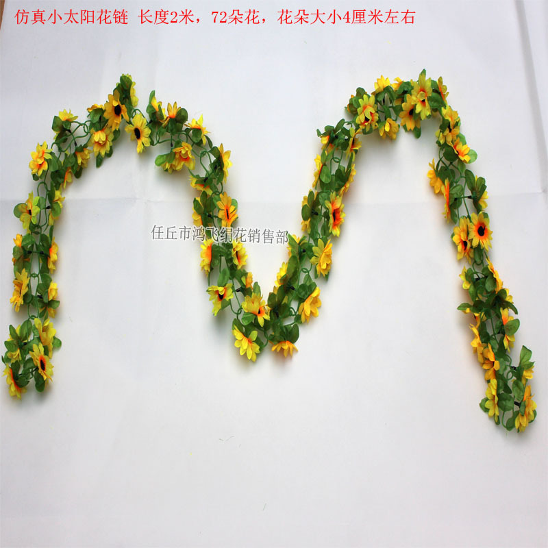 xiaotaiyanghualian13