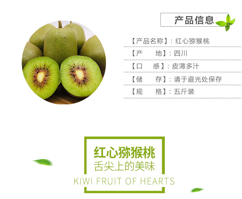 红心-猕猴桃_04.jpg