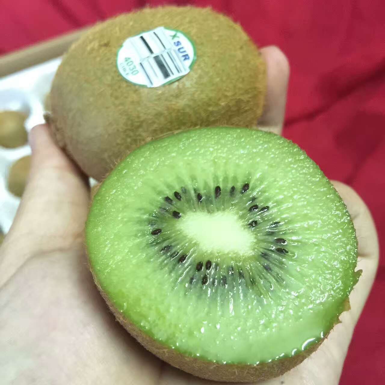 智利进口弥猴桃 奇异果 当季水果绿心猕猴桃新鲜非黄心一件代发|ms