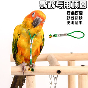 �B�ò��K������K�W�^�_�h�/ ��ü�S�ZϞ�첮�ڰ˸�/�K/�i/��/��