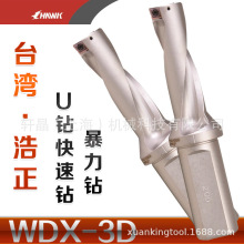 ����U�� ������ͷ ��������ˮ�� 3����ƽ�����س����굶��WDX����
