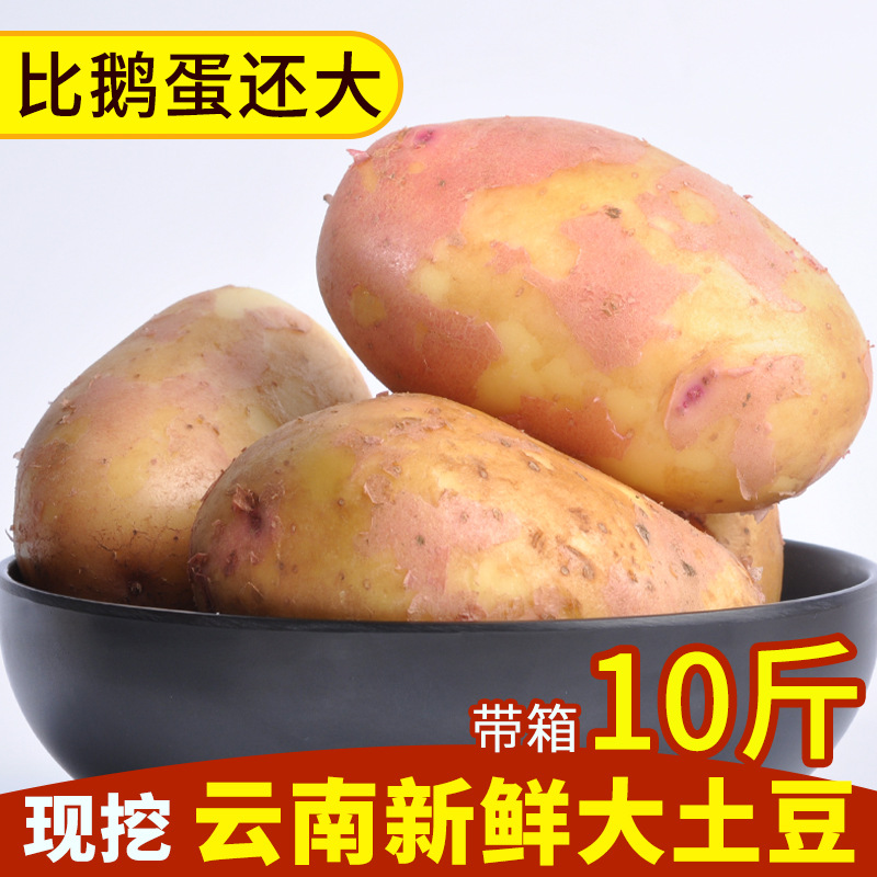 Yunnan Potato Potato fresh Red potato Vegetables Potato Large Potato Potato 10 Jin