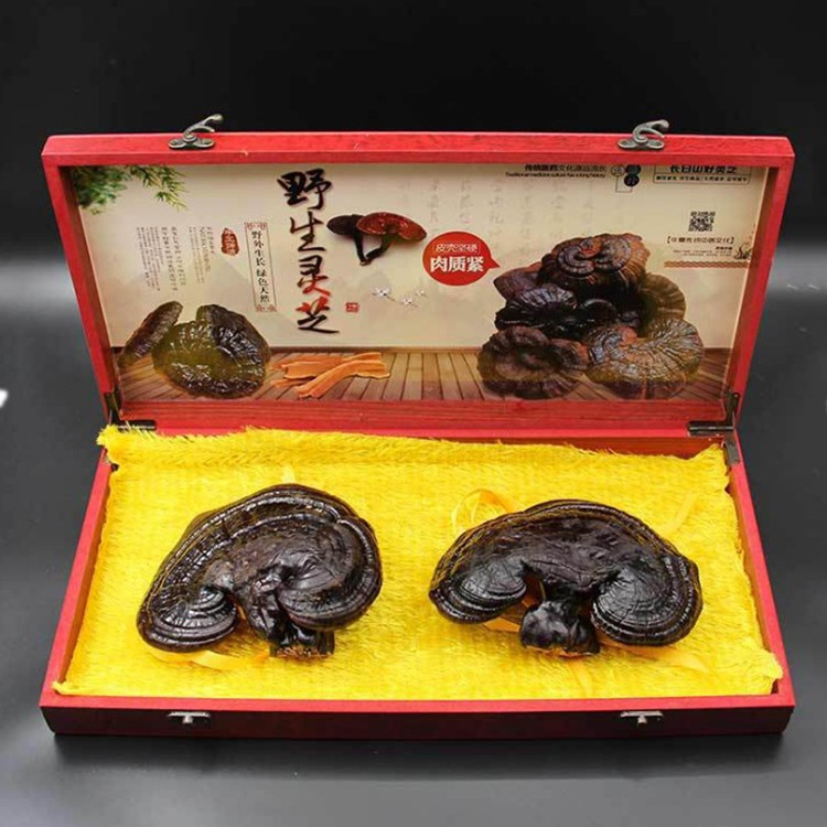 长白山会销灵芝礼盒东北紫灵芝东北吉林长白山灵芝批发年会礼品|ms