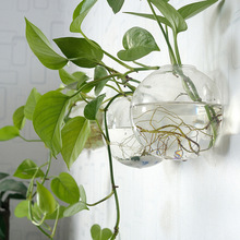 厂家直供创意玻璃花瓶透明客厅简约现代壁挂富贵竹绿萝水培小花瓶