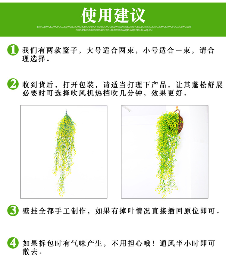 金钟柳 金钟柳壁挂