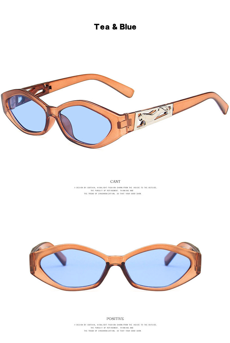 Retro Women's Sunglasses display picture 8