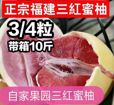 福建平和三红蜜柚  琯溪红肉柚红心柚5斤9斤新鲜水果四大名柚