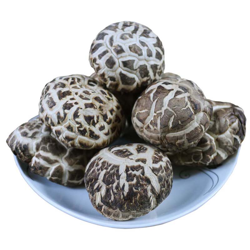 随县肉厚大冬菇白花菇 产地批发天百花菇干椴木菇食用菌菇土特产