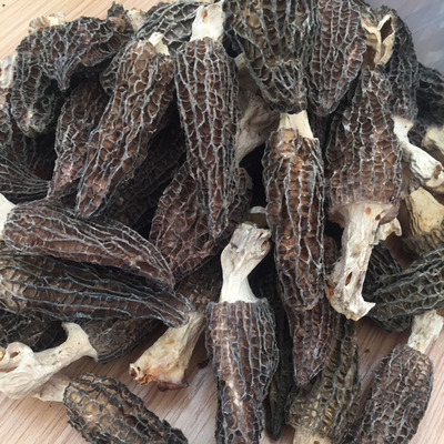 羊肚菌 产地直批高品质带柄干羊肚菌 食用菌250g一袋 一件代发