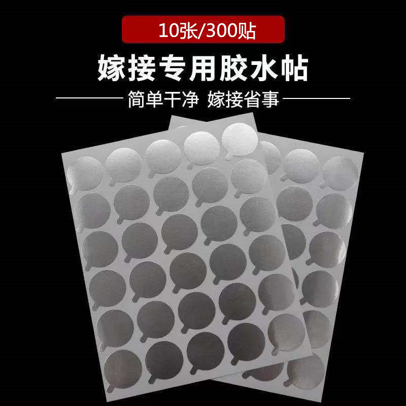 12405169850_2066169774_副本