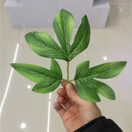 植物植物植物花叶配件 三叉红线牡丹叶 植物牡丹花叶布编织袋布料