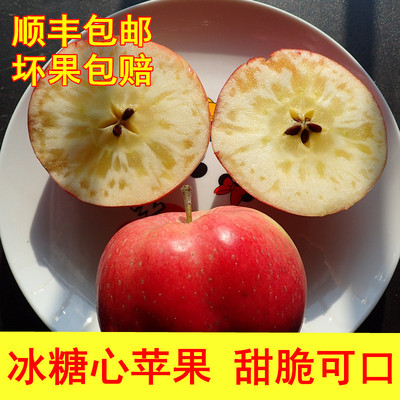 顺丰包邮大连冰糖心苹果红露甜脆净果无损坏果包赔|ms