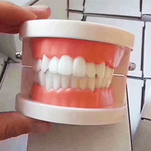 ���Xģ�����Ʋ��Ͽ�ǻ��е�����̌W����ģ���N����ϼ���ģ�����l