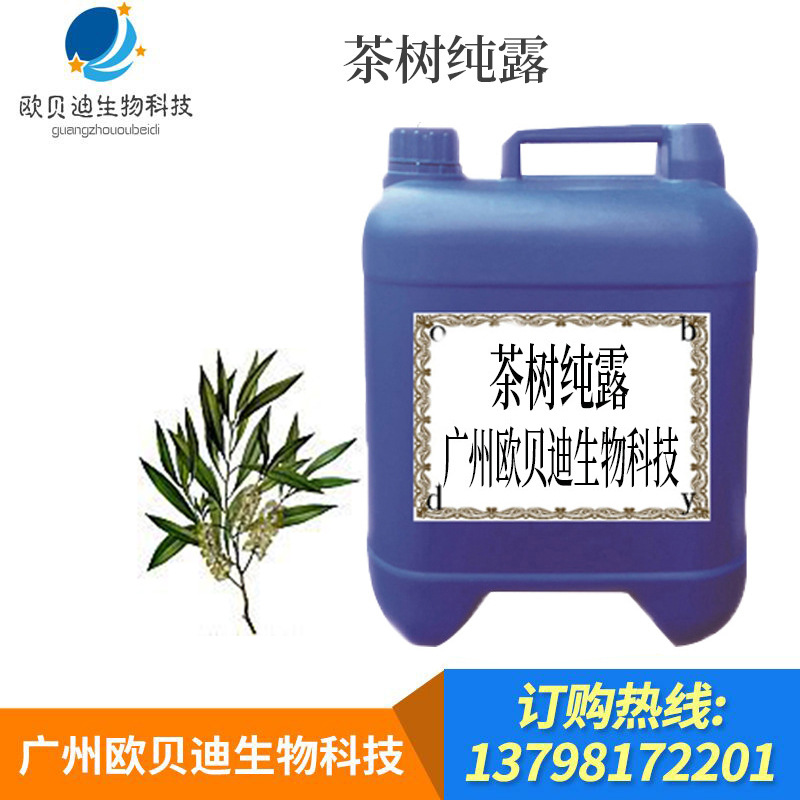 茶树纯露植物原料 平衡油脂 舒缓肌肤茶树纯露10公斤