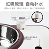 Original pet bowl stainless steel double bowl automatic drinking water heater dog bowl cat bowl food pot dog pot cat dish non -slippan