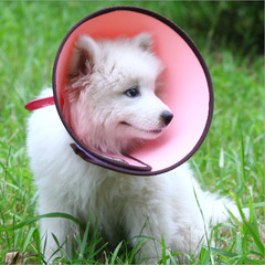 McDowell Elizabeth Circle Strong Grab Universal Adjustable Pet Collar Cat Dog Neck Strap Anti-Licking Scratch Anti-Bite Humiliation Collar