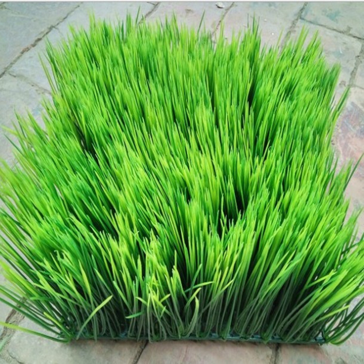 artificial grass