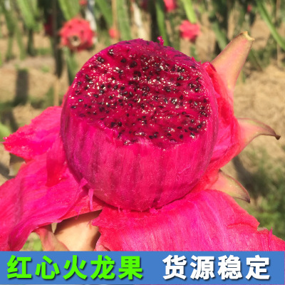 Red Pitaya Waldo Number one Red Pitaya 5 Vietnam Red pitaya One piece