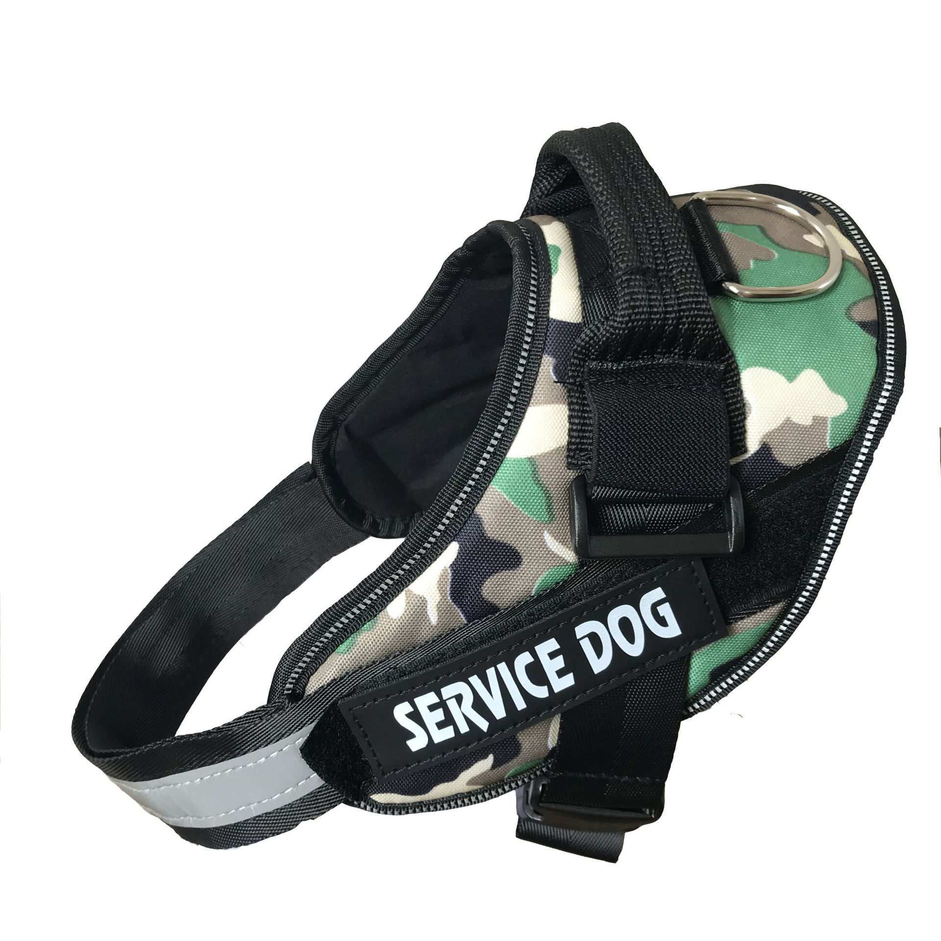 Army green camouflage DOG