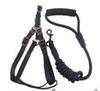 New pet supplies dog chain dog rope dog item trap traction rope chest strap manufacturers spot wholesale