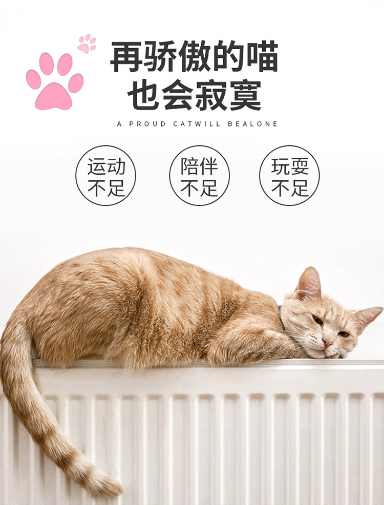 猫爪手电筒 多功能手电 激光逗猫紫光检测白光照明便携小手电批发详情5