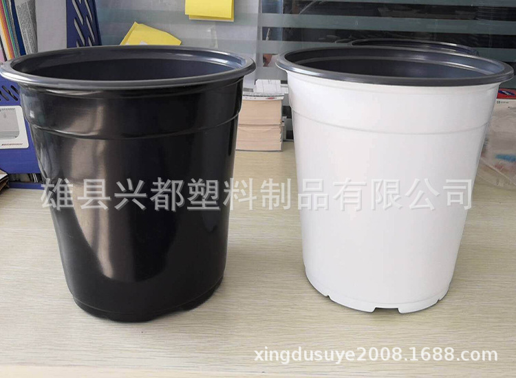 b0f4c8751e5a89d6bf56daef1b0574