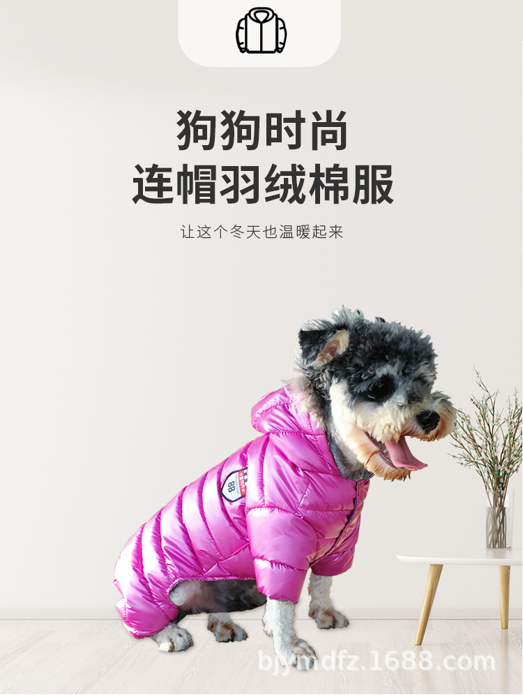 宠物服饰_01.jpg展示图